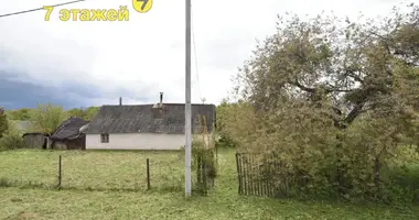 Haus in Drycyn, Belarus