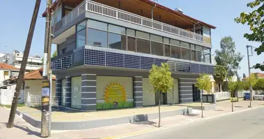 Commercial property 300 m² in Kato Agios Ioannis, Greece