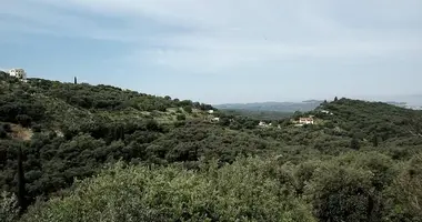 Terrain dans Agios Pantaleimonas, Grèce