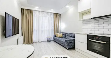 2 room apartment in Minsk, Belarus