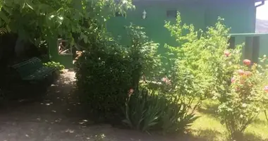 House for rent in Tbilisi, Tskneti dans Tbilissi, Géorgie