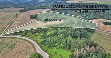 Plot of land in Paverkniai, Lithuania