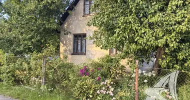 Дом в Мухавецкий сельский Совет, Беларусь