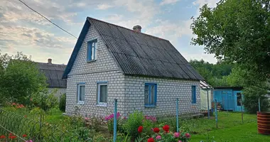 House in Dubrauski sielski Saviet, Belarus