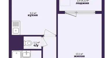 Wohnung 1 zimmer in Minsk, Belarus