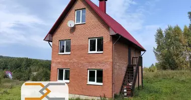 House in Rakauski sielski Saviet, Belarus