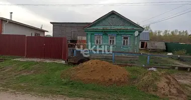 House in Lenkovo, Russia