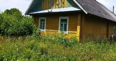 House in Harodzkauski sielski Saviet, Belarus