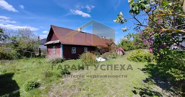 House in Klejnikauski selski Savet, Belarus