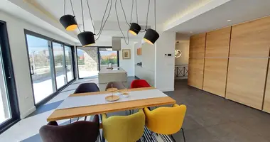 Villa 4 bedrooms in Podgorica, Montenegro