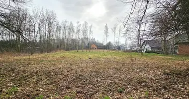 Plot of land in Cichowo, Poland
