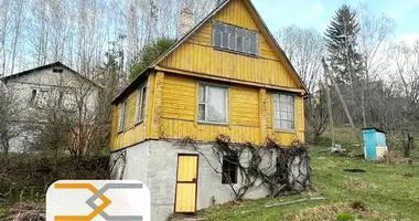 House in Krasnienski sielski Saviet, Belarus