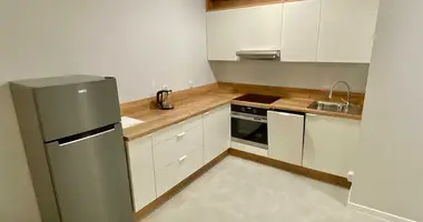 2 room apartment in Krakow, Poland