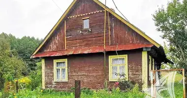 Haus in Vidamlianski siel ski Saviet, Weißrussland