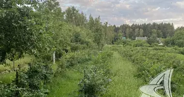 Działka w Znamienski sielski Saviet, Białoruś