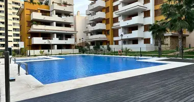 Ático Ático 4 habitaciones en Torrevieja, España