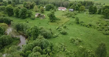 Plot of land in Vyliaudiskis, Lithuania