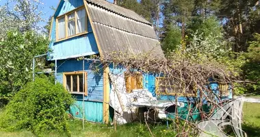 House in Muchaviecki sielski Saviet, Belarus