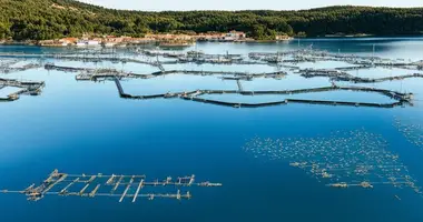 FISH FARM, CROATIA en Zagreb, Croacia