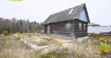 Haus in Smaljawitschy, Weißrussland