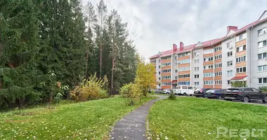 2 room apartment in Borovlyany, Belarus