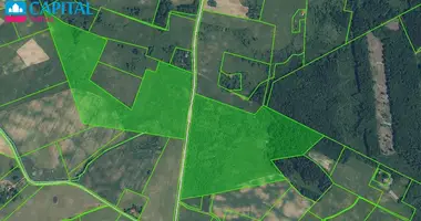 Plot of land in Stasiunai, Lithuania