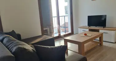 Apartamento 1 habitacion en Krasici, Montenegro