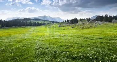 Parcela en Georgia