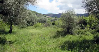 Участок земли в Айос-Георгиос, Греция