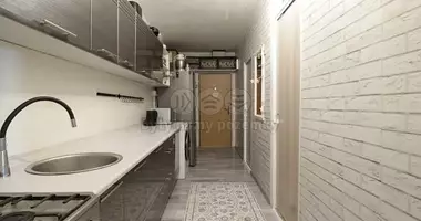 3 bedroom apartment in Most, Czech Republic