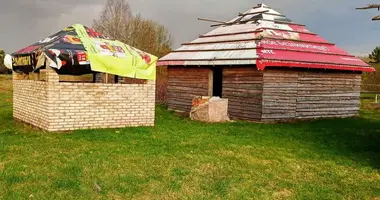 House in Navasiolkauski sielski Saviet, Belarus