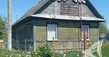 House in Rasna, Belarus