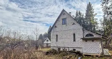 House in Piatryskauski sielski Saviet, Belarus