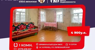 House in Kuraniec, Belarus