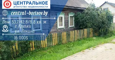 House in Krupki, Belarus