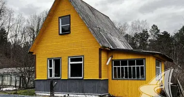 Haus in Muchaviecki sielski Saviet, Weißrussland