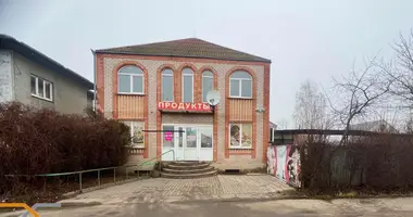 Shop 480 m² in Sluck, Belarus