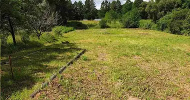 Grundstück in Miadzielski sielski Saviet, Weißrussland