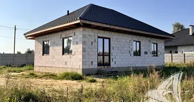 House in Carnaucycki sielski Saviet, Belarus