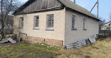 House in Lyuban, Belarus