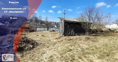 Terrain dans Aliachnovicki siel ski Saviet, Biélorussie