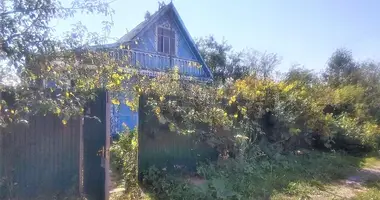 House in Ziabrauka, Belarus