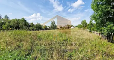 House in Kliejniki, Belarus