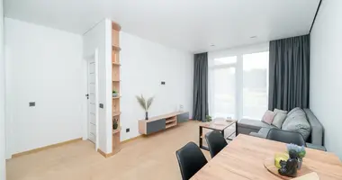 2 room apartment in Vilnius, Lithuania