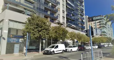 Gewerbefläche 101 m² in Alicante, Spanien