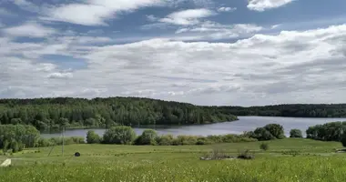 Maison dans Aziaryckaslabadski sielski Saviet, Biélorussie