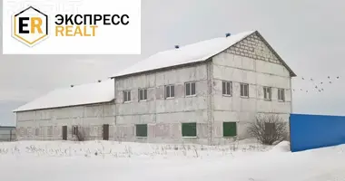 Commercial property 500 m² in Kamyanyets, Belarus