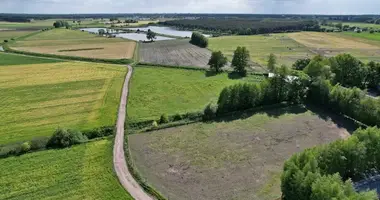 Parcela en Krosinko, Polonia