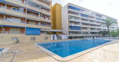 1 room apartment with by the sea in Torrevieja, Spain