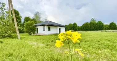 Dom w Dabryniouski sielski Saviet, Białoruś